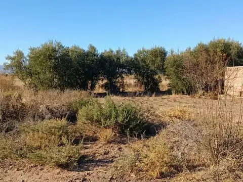 Terreno en Venta de 68636,0 m2