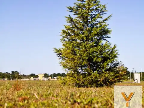 Terreno en venta - 1.002Mts2 - Junín