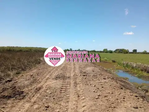 Campo en Isla, zona Alsina - Baradero
