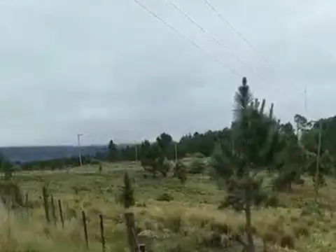 Terreno en Venta de 20000,0 m2