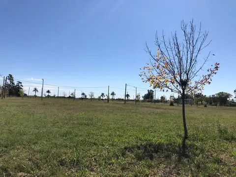 ruta nacional 33