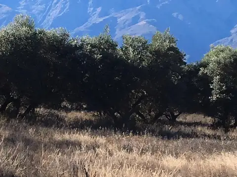 Terrenos en Barranca de los Loros, Villa de las Rosas, Cordoba
