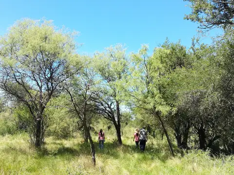 Terrenos en Cno Bca de los Loros, Villa de las Rosas, Cordoba