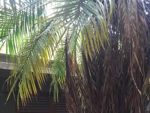 CASA DE 3 AMB EN  LOTE PROPIO