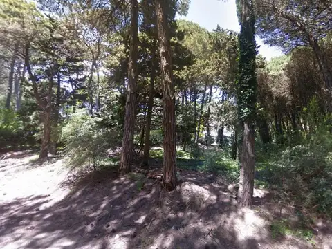 Terreno en Venta 25  mts Frente