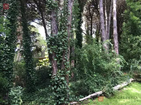 Terreno en Venta en Carilo, USD 189.000