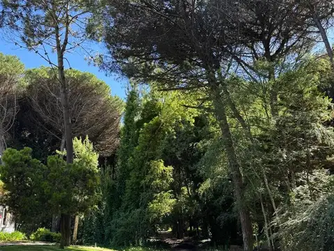 Terreno - Carilo