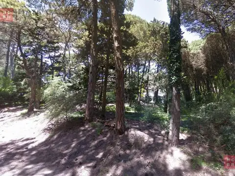 Terreno en Venta 25  mts Frente