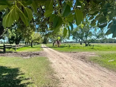 Ruta 28 Km. 5