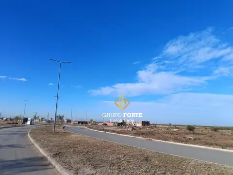 Docta Avenida
