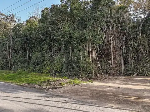 Lote en Venta en Monte Verde | 1.494 m² | Frente Norte | Calle Principal | Alto Los Cardales