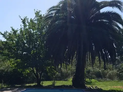 Chacra - Marcos Paz