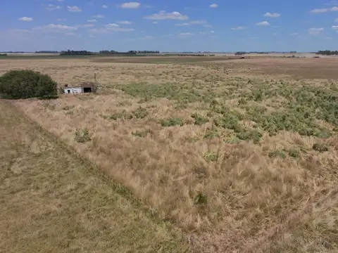 Campo en Venta de 14 has a 1.000 mts de la ruta 3 km 82 -Cañuelas