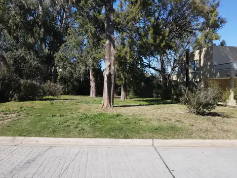 Terreno en Venta de 738,0 m2