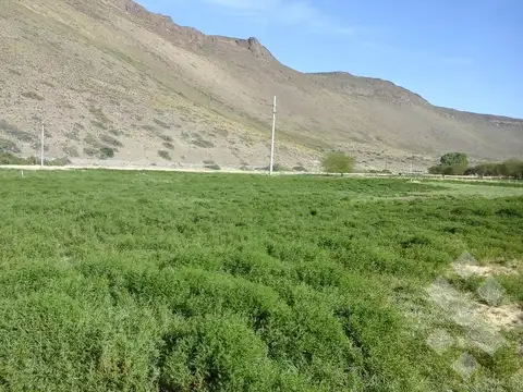 Ruta Provincial 21, Kilómetro 31, Departamento Picunches, Paraje Huarenchenque