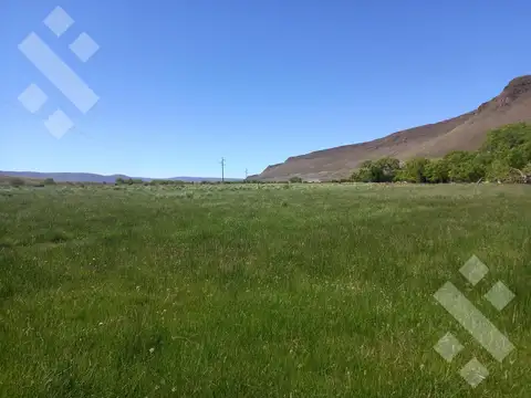 Ruta Provincial 21, Kilómetro 31, Departamento Picunches, Paraje Huarenchenque
