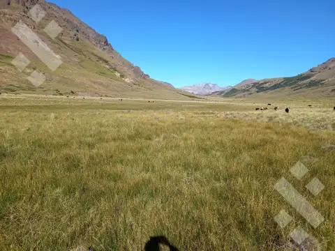 Ruta Provincial 21, Kilómetro 31, Departamento Picunches, Paraje Huarenchenque