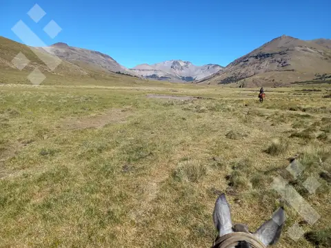 Venta de estancia en Ruta Provincial 21, Kilómetro 31, Departamento Picunches, Paraje Huarenchenque