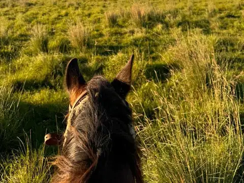 RUTA PROV 118, CORRIENTES