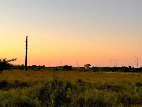 Campo en  SALADAS, CORRIENTES 409 Ha. mixto. SOBRE RUTA 118 - Venta