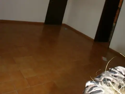 9 De Julio 100, Piso 8