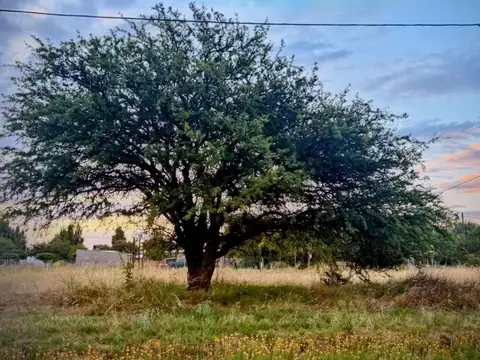 Terreno Alsina y Pueyrredon