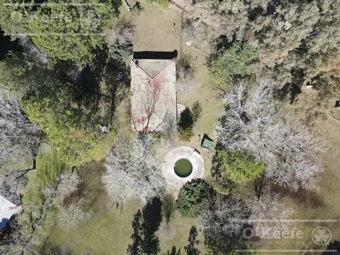 Casa Quinta de 2 Has con pileta y gran arboleda en Abasto - En venta en La PLata