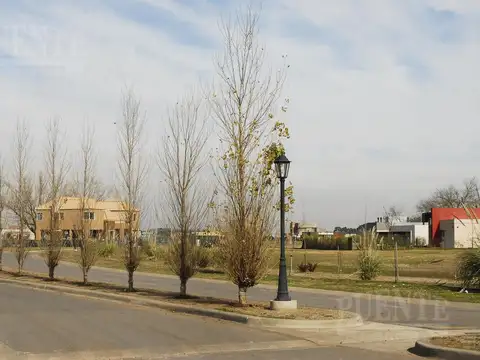 San Felipe