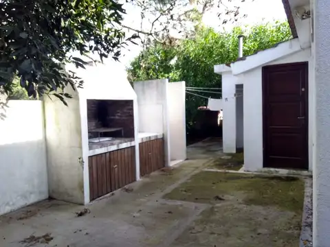 Corbeta Halcon 100