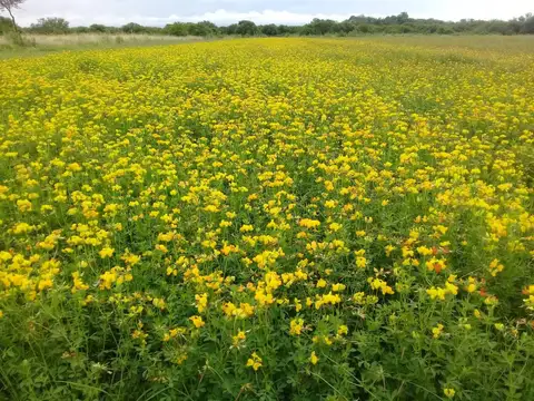 Chacra 5 has, con mejoras, sobre Ruta 14 Km Nº 62.