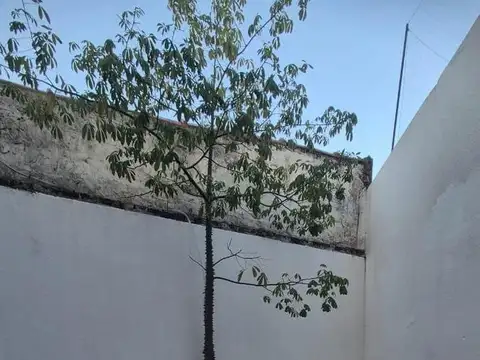 Departamento 4 amb con Patio Bajas Expensas