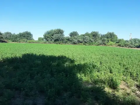 CAMPO EN VENTA SURI POZO - SANTIAGO DEL ESTERO