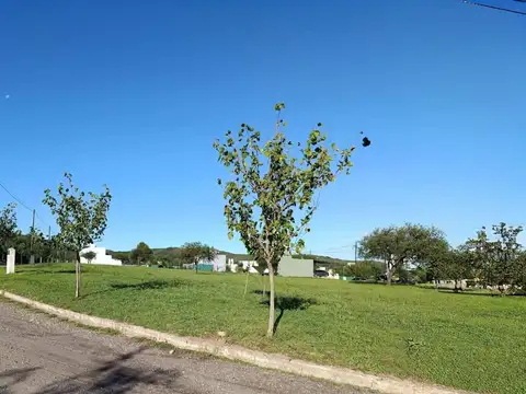 Terreno en Venta de 432,0 m2