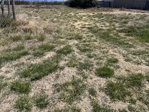 Terreno en Venta en Colonia las Rosas, USD 45.000