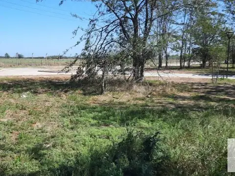 Terreno en Venta 14  mts Fondo