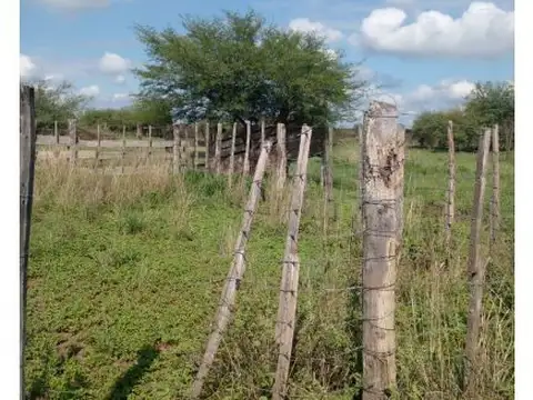 Ruta provincial 5