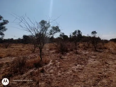 Campo agrícola 11518has, venta. Campo Gallo. Santiago del Estero