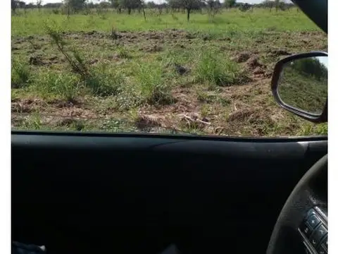Campo agrícola 11518has, venta. Campo Gallo. Santiago del Estero