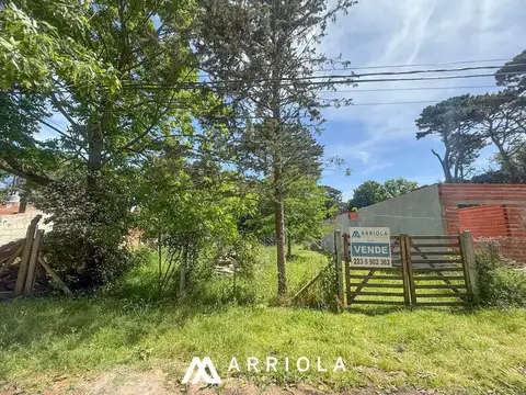 Comechingones y Namuncura