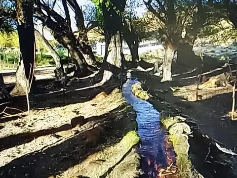 MINISTRO RAMOS MEXIA, PROV DE RIO NEGRO