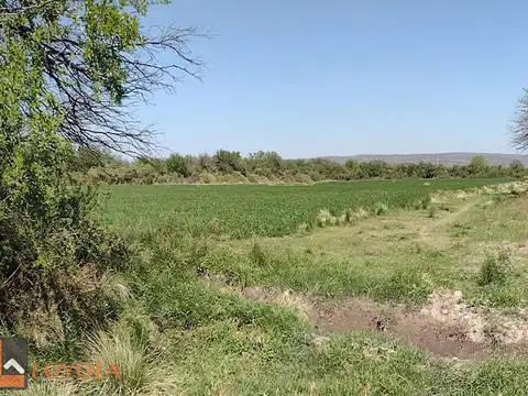 Ruta 23