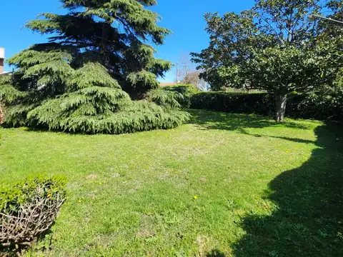 Estado de Israel 300