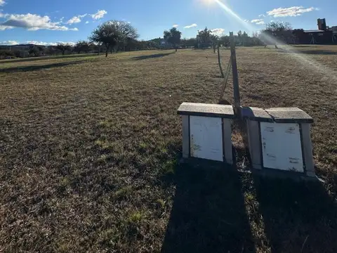 Country La Arbolada Hollywood