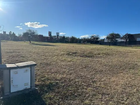 Country La Arbolada Hollywood