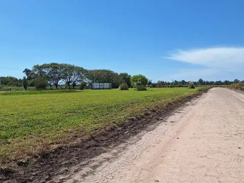 Terreno en Venta 25  mts Fondo