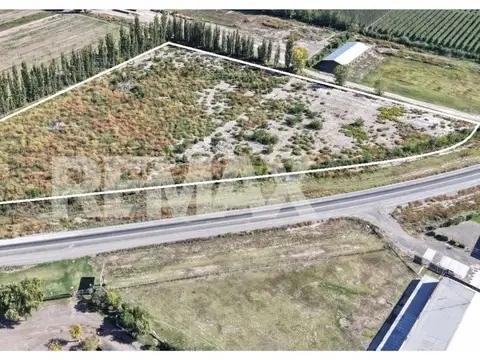 VENTA 3 HECTAREAS CON RUTA 22 ALLEN RIO NEGRO