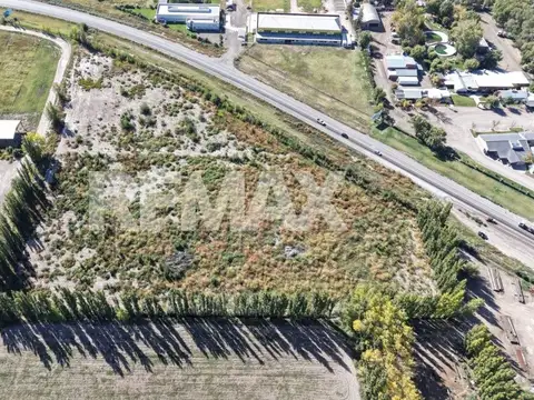 VENTA 3 HECTAREAS CON RUTA 22 ALLEN RIO NEGRO