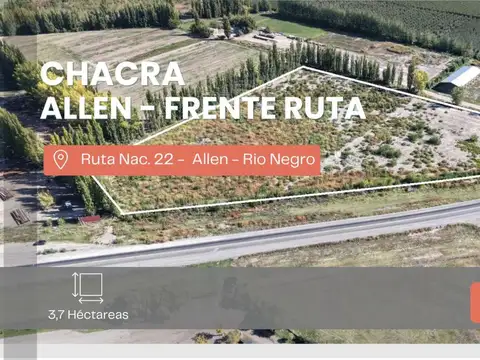 VENTA 3 HECTAREAS CON RUTA 22 ALLEN RIO NEGRO