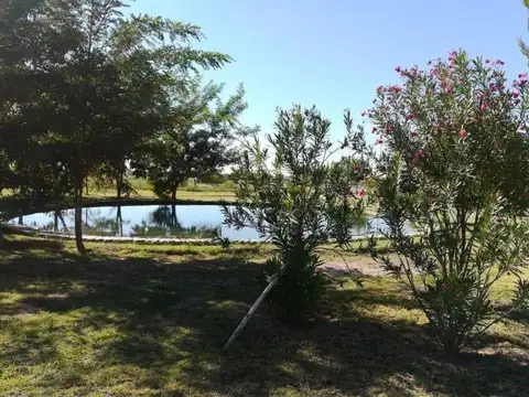 Terreno en Venta de 700,0 m2