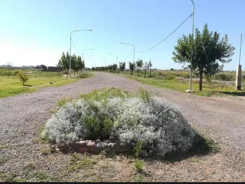 Ruta Provincial 33 al 2500, Maipu, Mendoza, Argentina